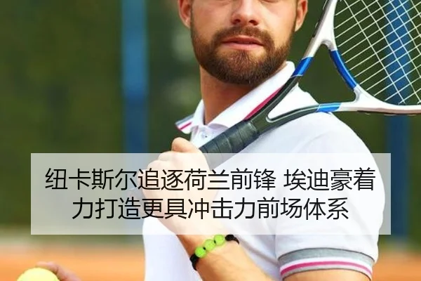 纽卡斯尔追逐荷兰前锋 埃迪豪着力打造更具冲击力前场体系